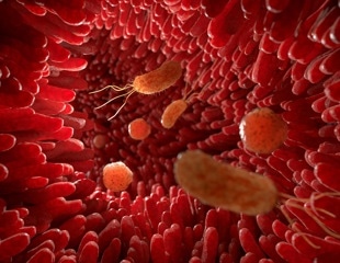 Engineered Gut Bacteria With MiRNA Nanoparticles To Reverse IBD