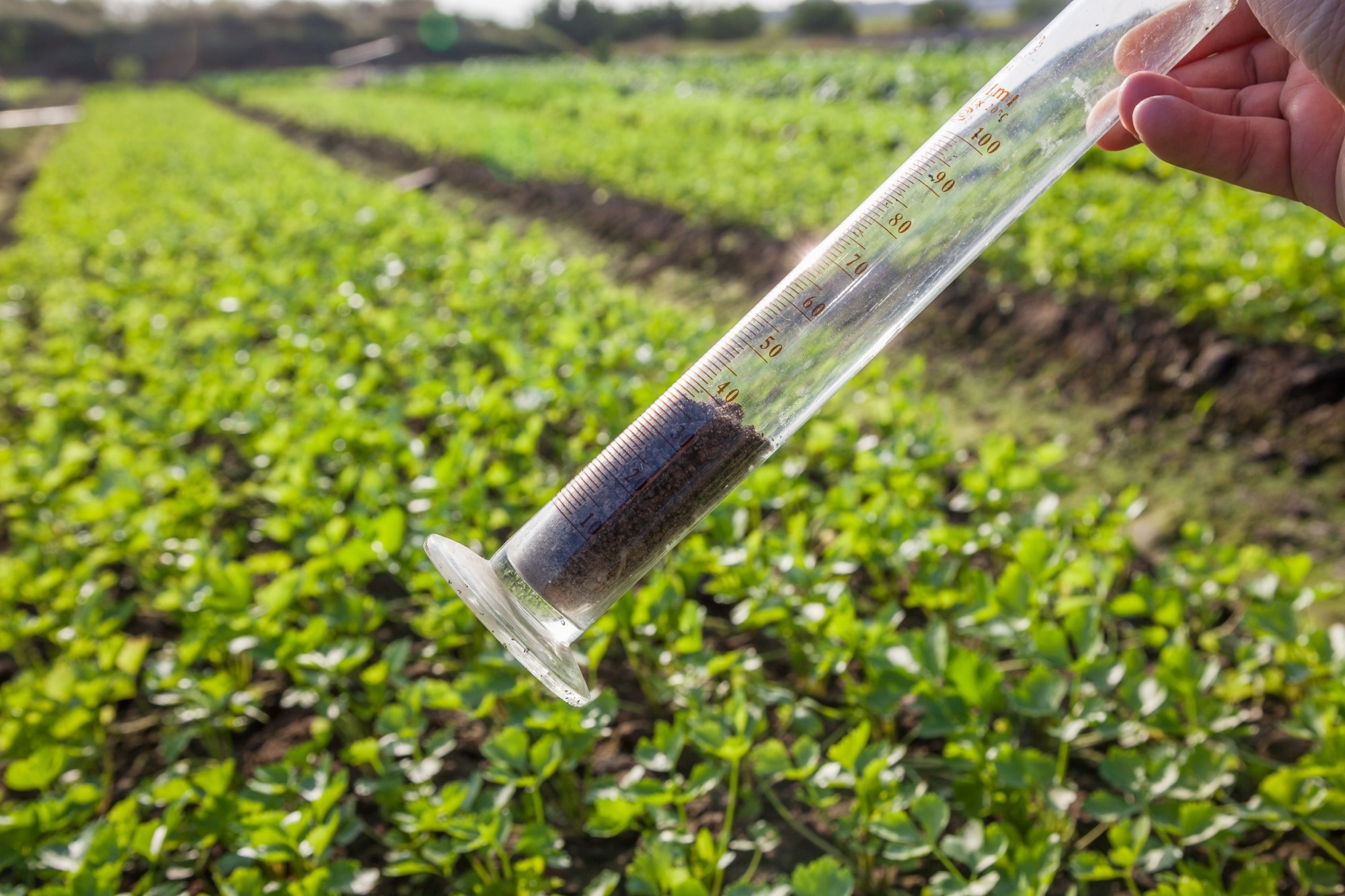 soil, health