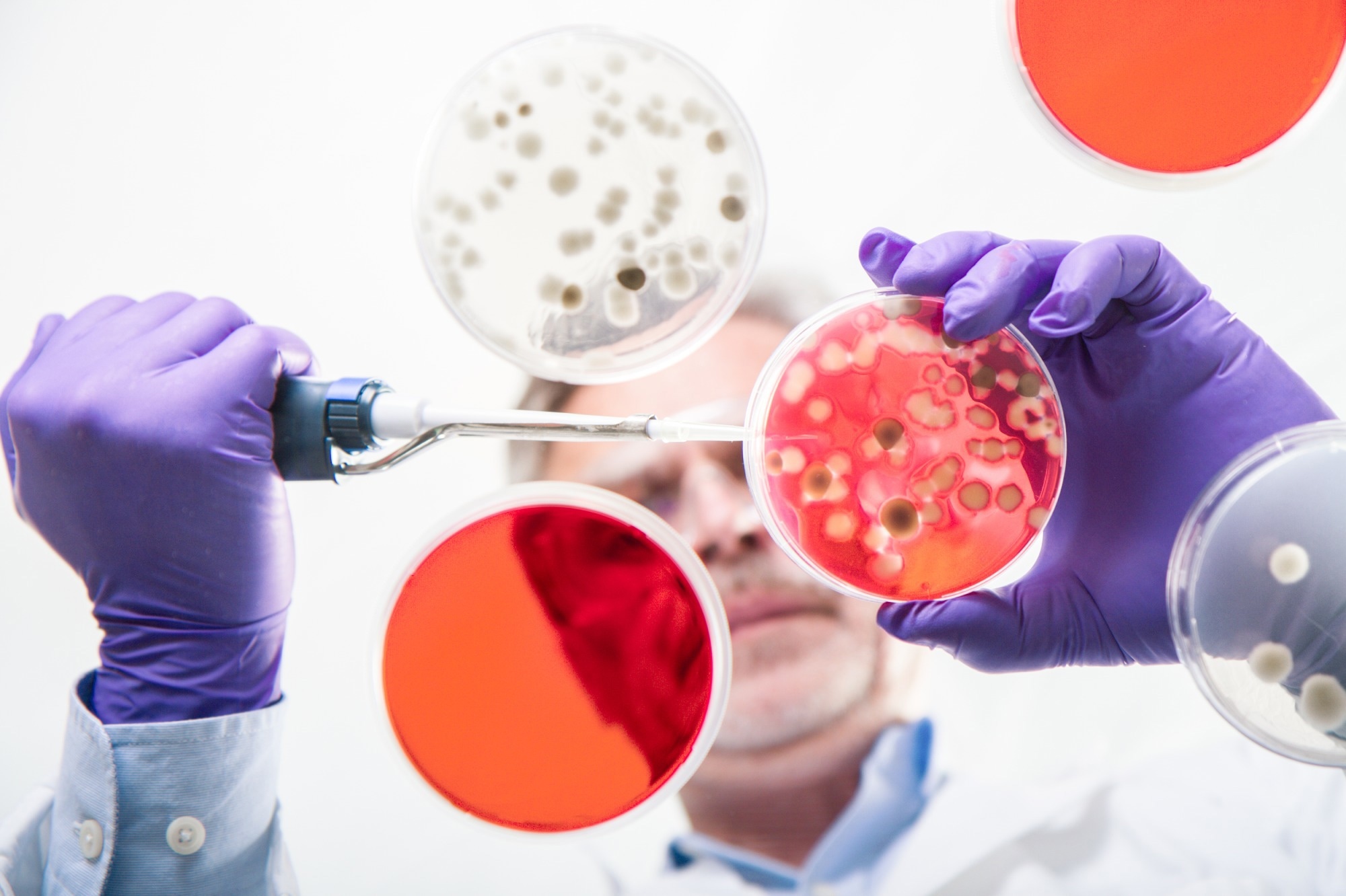 biology, experiment