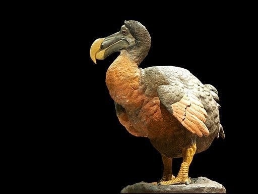Could We Achieve De-extinction - And What Would It Mean?