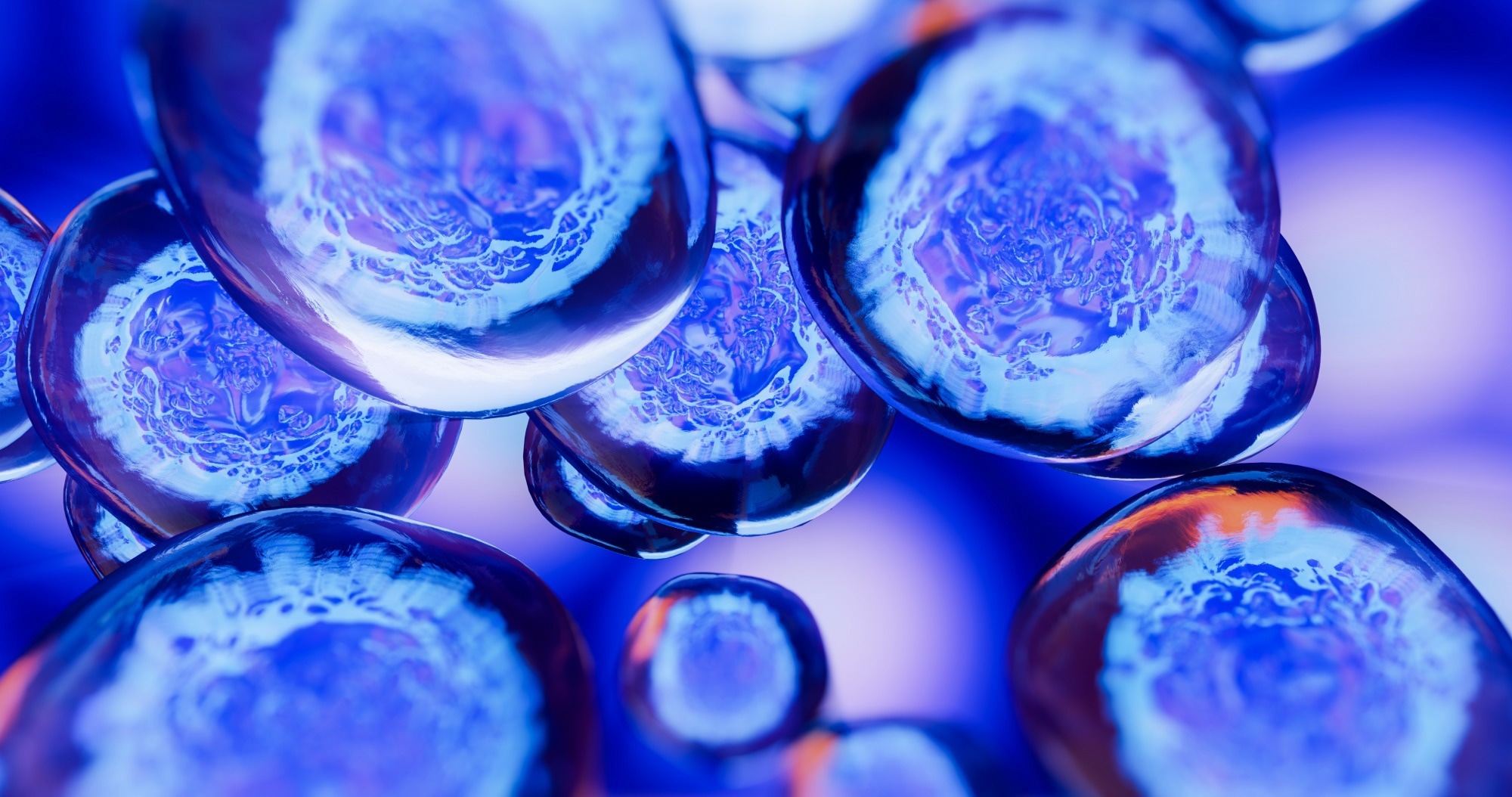stem cells