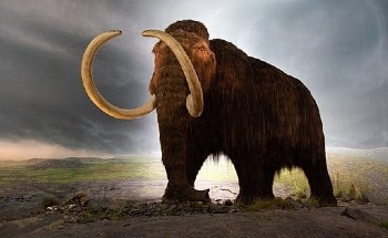 Exploring the Possibility of De-extinction and Its Implications