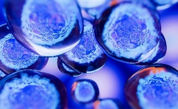 Enhancing Stem Cell Growth: Strategies and Approaches