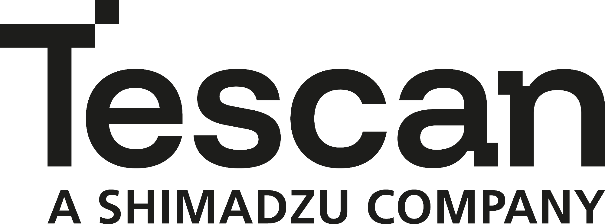 Tescan Group