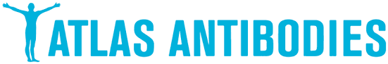 Atlas Antibodies AB