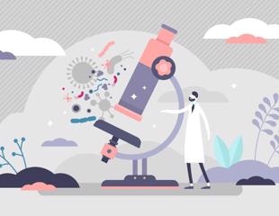 Exploring the Flexible Structure of Sulfite Reductase Enzyme