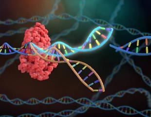 Cocaine addiction: Impact of genetic mutations elucidated